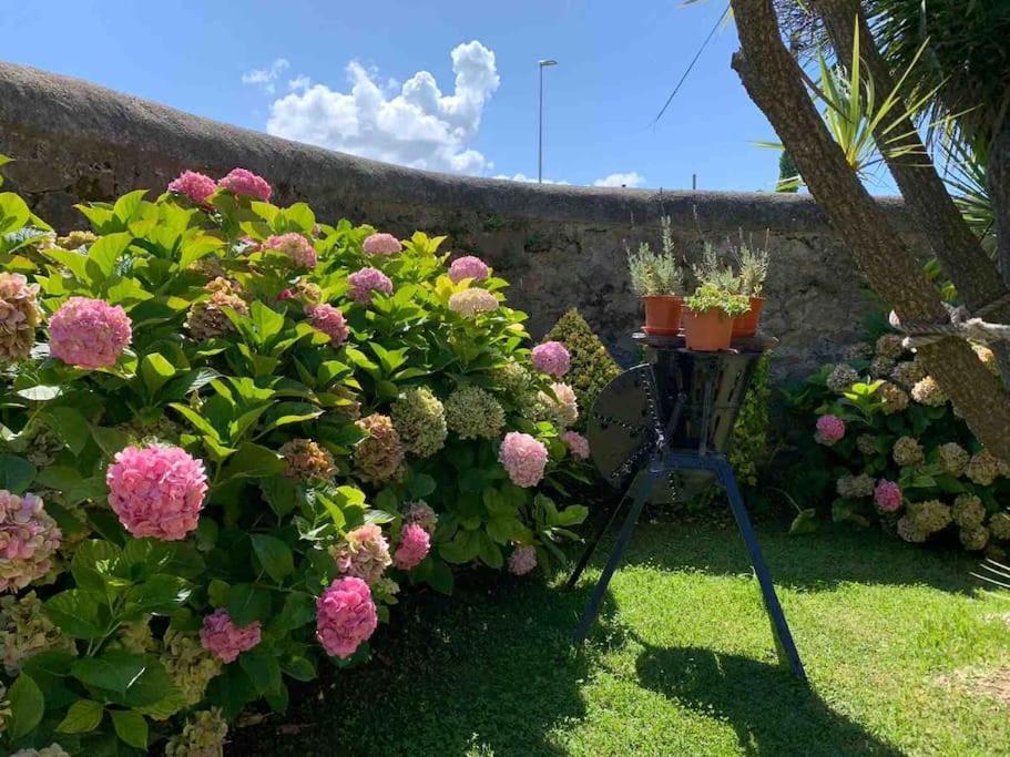 Apartamento Con Jardin Santander Eksteriør billede