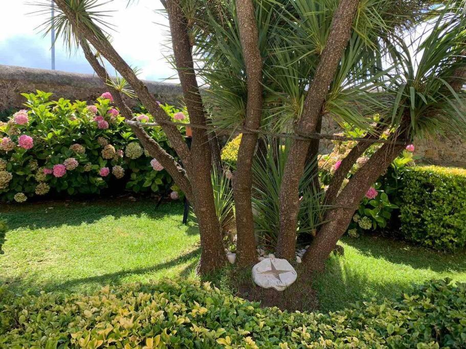 Apartamento Con Jardin Santander Eksteriør billede